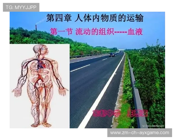 世界举重科研中心发布基层训练教学案例集